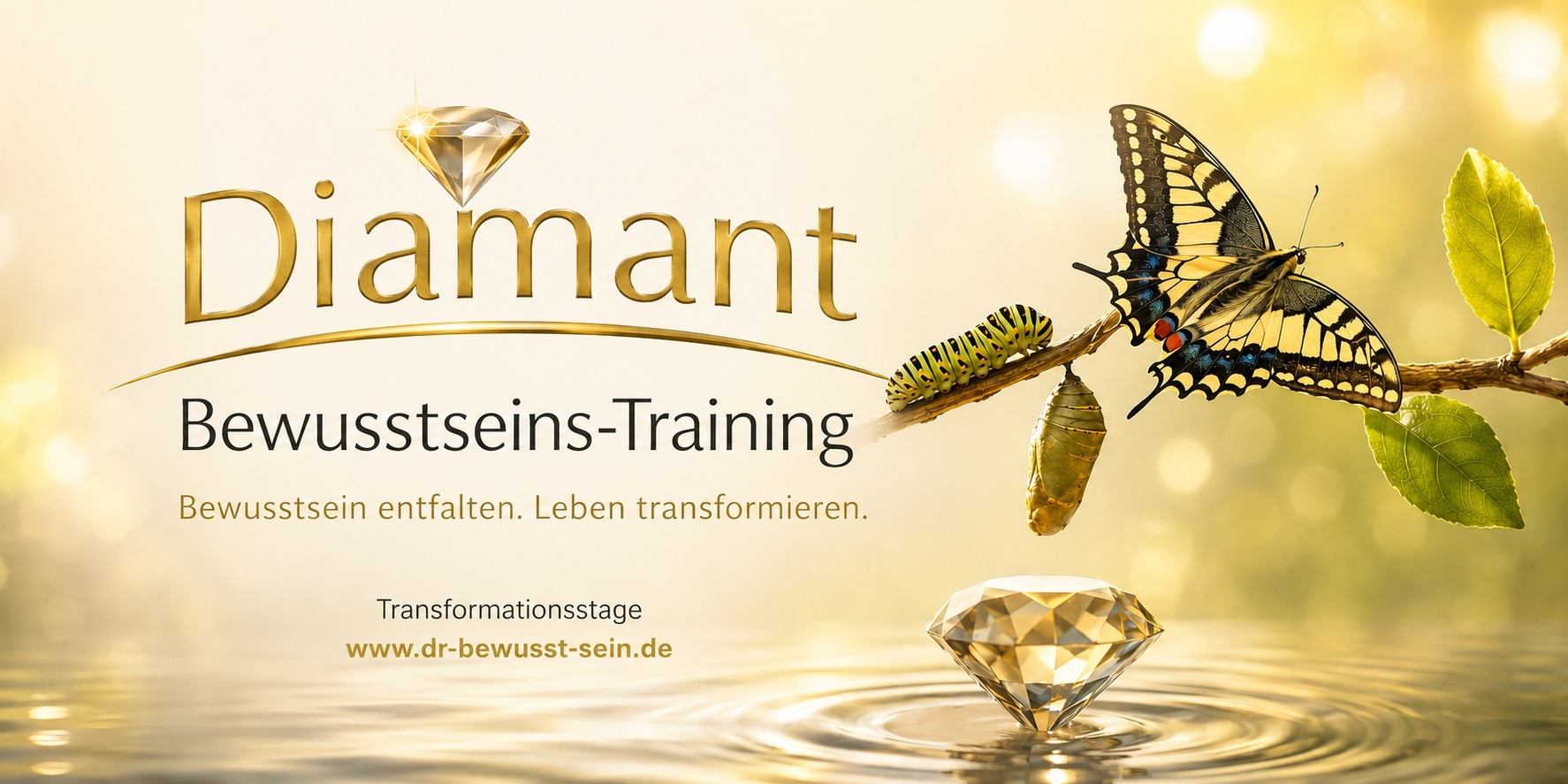 diamant bewusstseins-training titelbild neu