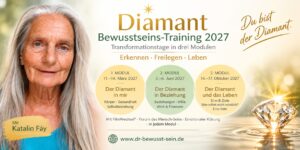 Diamant Bewusstseins-Training 2027